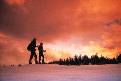 Two skiers at dawn